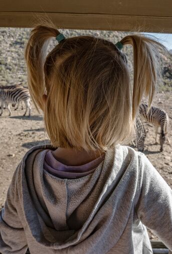 Familiensafari