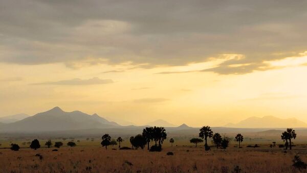 BestPlacesAfrica Uganda Kidepo Nationalpark Foto By WildPlacesAfrica