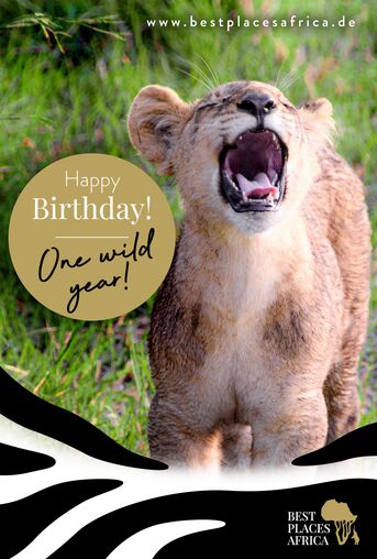 BPA Birthday Blog Post