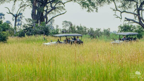 BestPlacesAfrica Botswana Jeeps