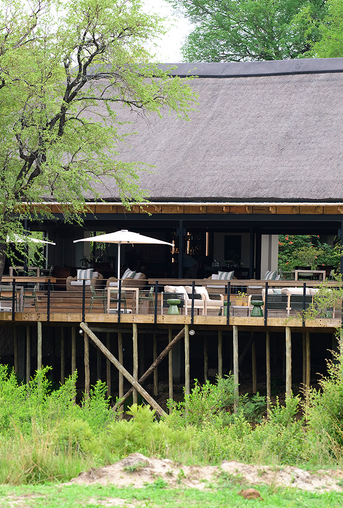 Simbambili Game Lodge Thornybush Collection Sanbi Sands BPA